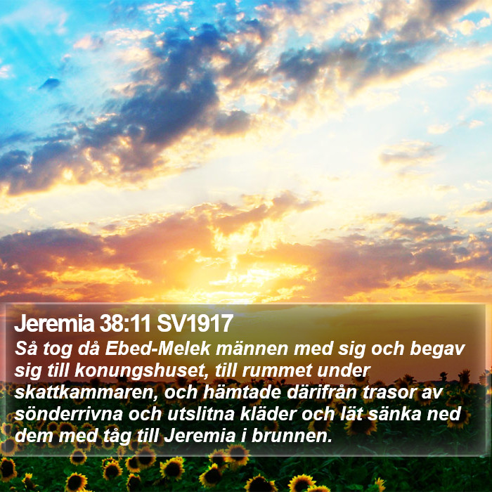 Jeremia 38:11 SV1917 Bible Study