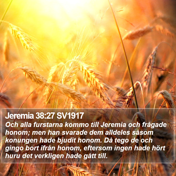 Jeremia 38:27 SV1917 Bible Study