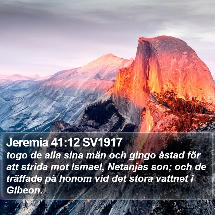 Jeremia 41:12 SV1917 Bible Study