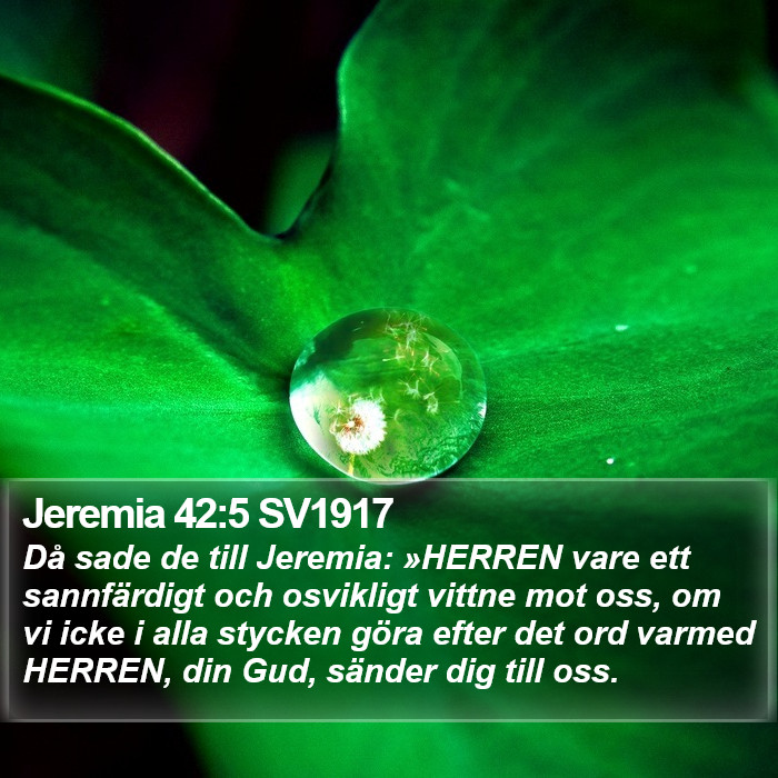 Jeremia 42:5 SV1917 Bible Study