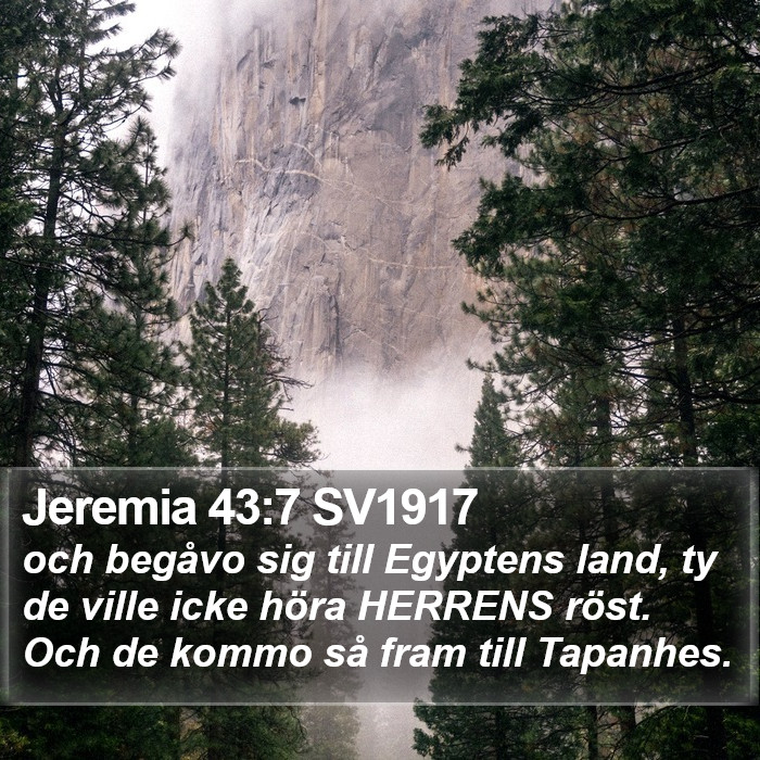 Jeremia 43:7 SV1917 Bible Study