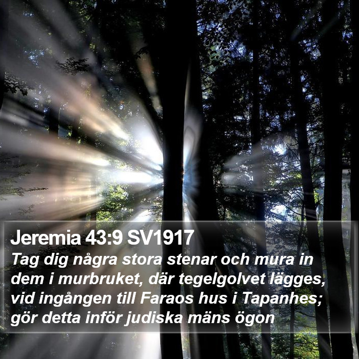 Jeremia 43:9 SV1917 Bible Study