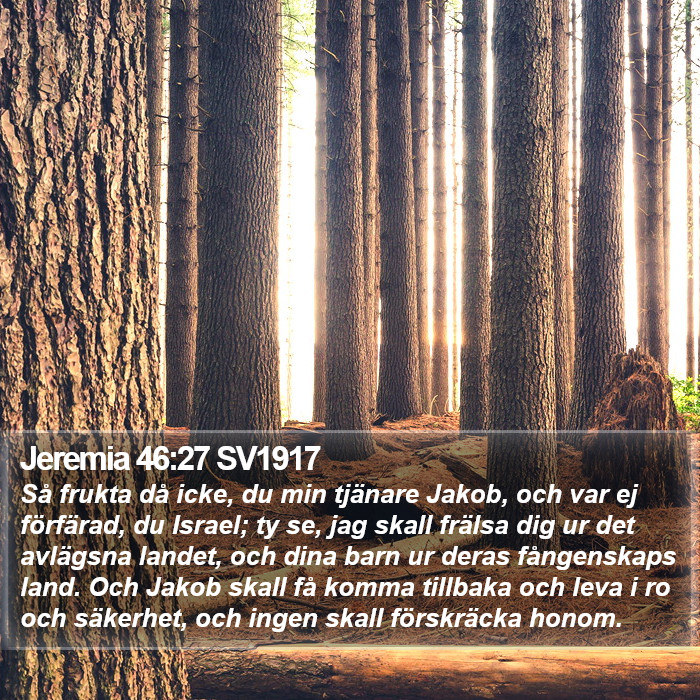 Jeremia 46:27 SV1917 Bible Study