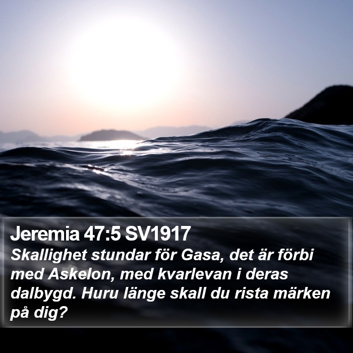 Jeremia 47:5 SV1917 Bible Study