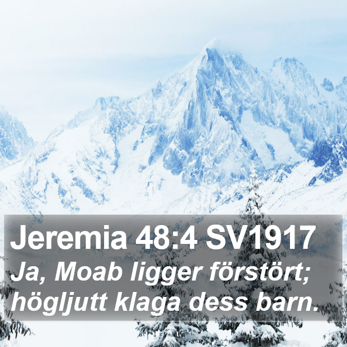 Jeremia 48:4 SV1917 Bible Study