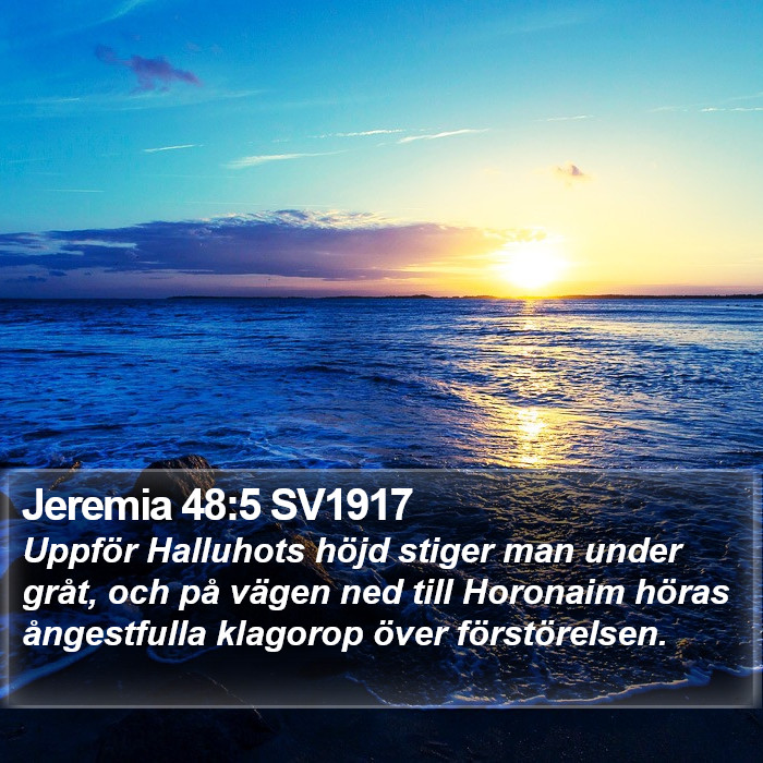 Jeremia 48:5 SV1917 Bible Study