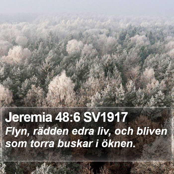 Jeremia 48:6 SV1917 Bible Study