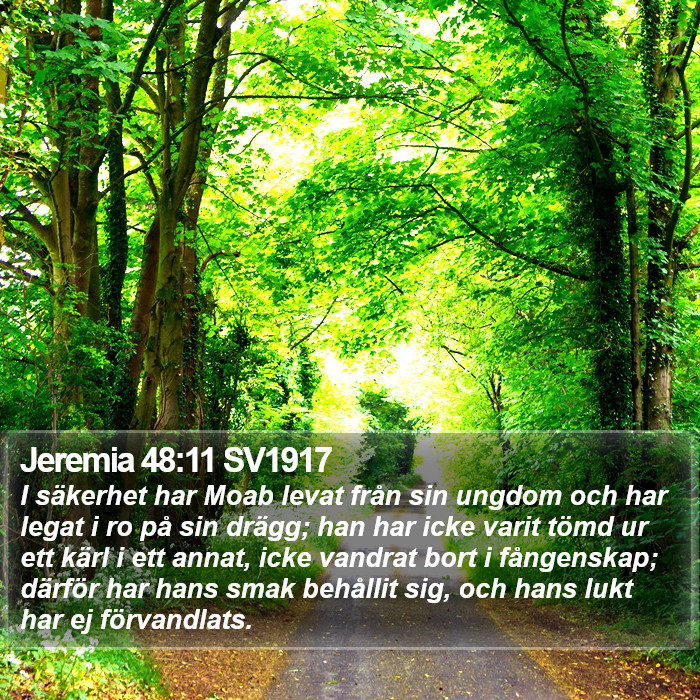 Jeremia 48:11 SV1917 Bible Study