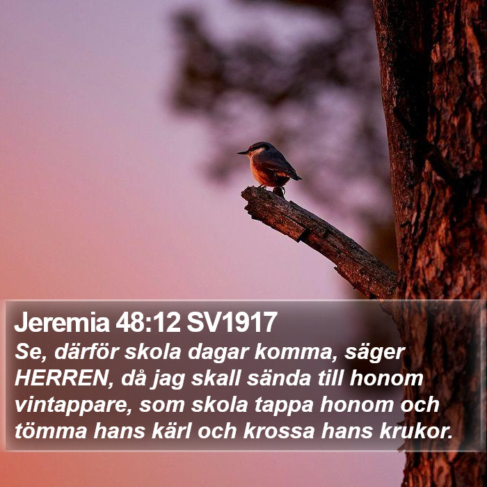 Jeremia 48:12 SV1917 Bible Study