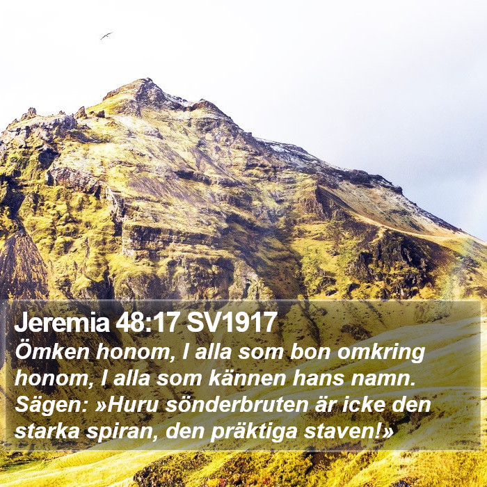 Jeremia 48:17 SV1917 Bible Study