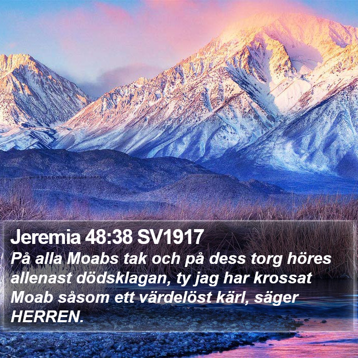 Jeremia 48:38 SV1917 Bible Study