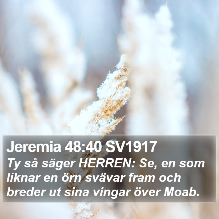 Jeremia 48:40 SV1917 Bible Study