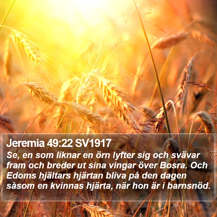 Jeremia 49:22 SV1917 Bible Study