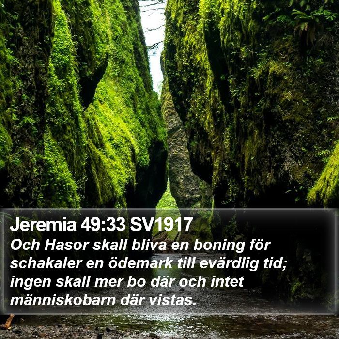 Jeremia 49:33 SV1917 Bible Study