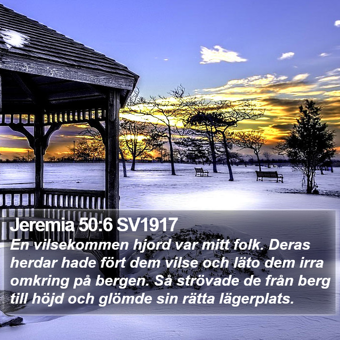 Jeremia 50:6 SV1917 Bible Study