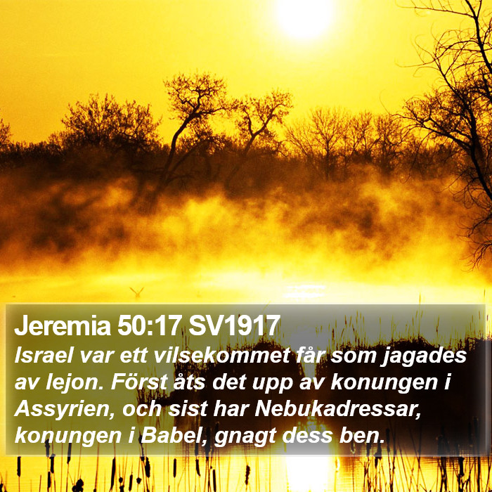 Jeremia 50:17 SV1917 Bible Study