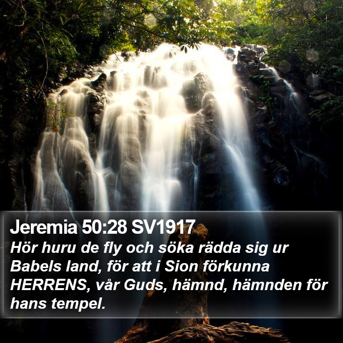 Jeremia 50:28 SV1917 Bible Study