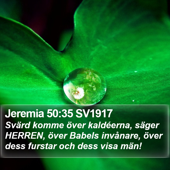 Jeremia 50:35 SV1917 Bible Study