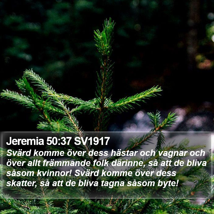 Jeremia 50:37 SV1917 Bible Study