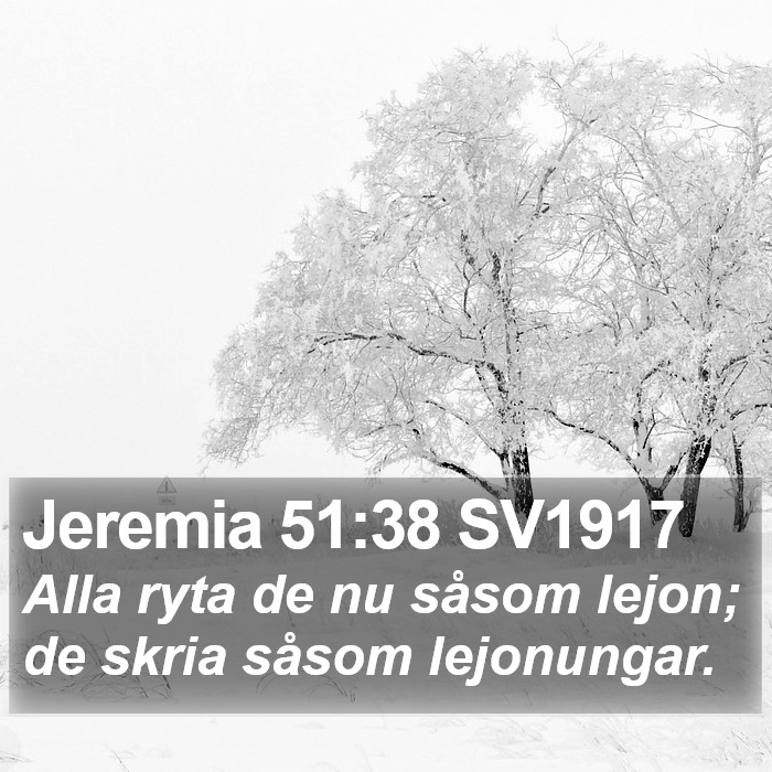 Jeremia 51:38 SV1917 Bible Study