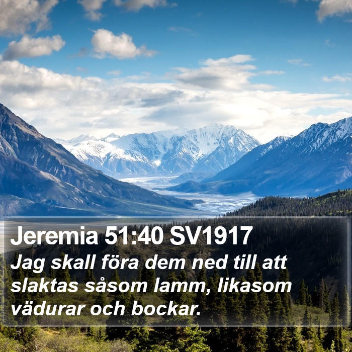 Jeremia 51:40 SV1917 Bible Study