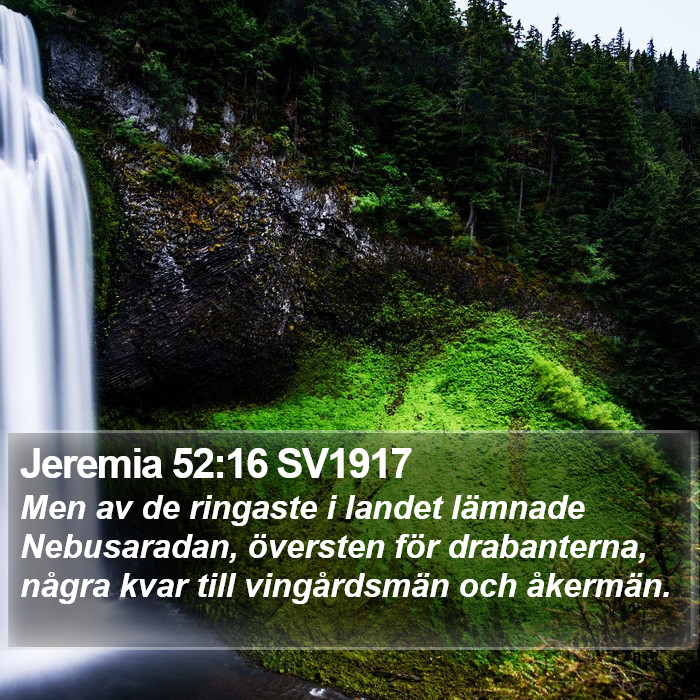 Jeremia 52:16 SV1917 Bible Study