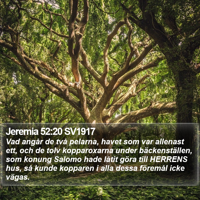 Jeremia 52:20 SV1917 Bible Study