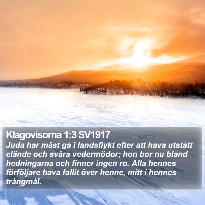 Klagovisorna 1:3 SV1917 Bible Study