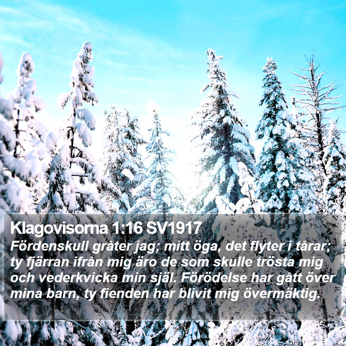 Klagovisorna 1:16 SV1917 Bible Study