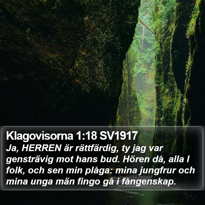 Klagovisorna 1:18 SV1917 Bible Study