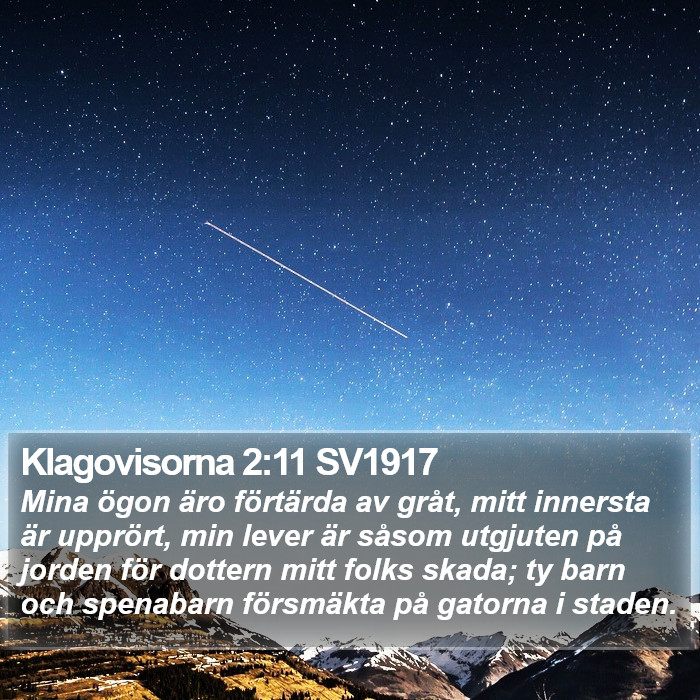 Klagovisorna 2:11 SV1917 Bible Study