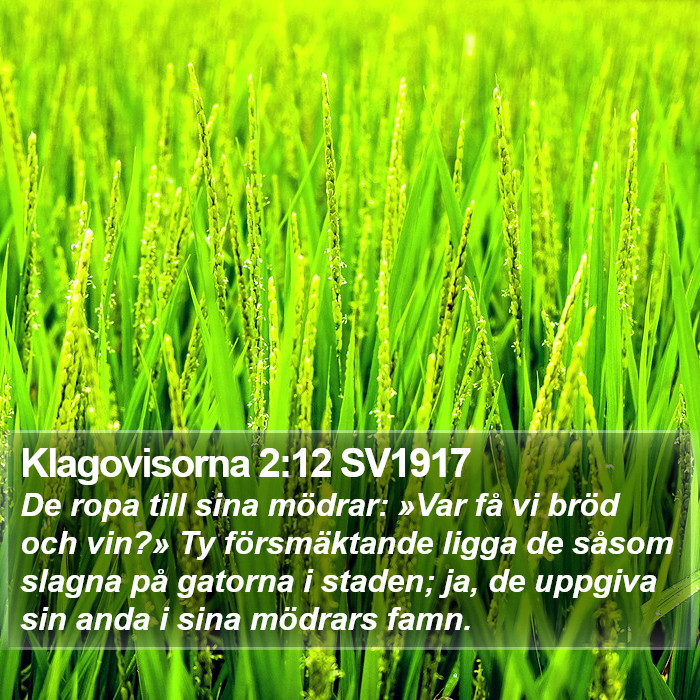 Klagovisorna 2:12 SV1917 Bible Study