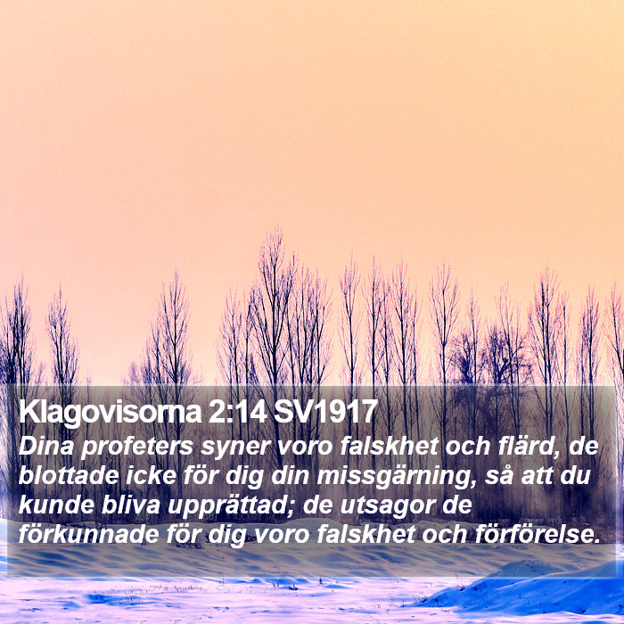 Klagovisorna 2:14 SV1917 Bible Study