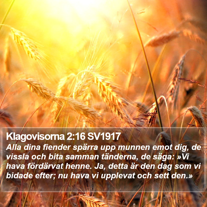 Klagovisorna 2:16 SV1917 Bible Study
