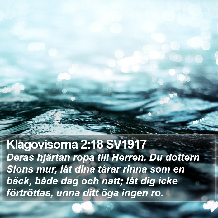 Klagovisorna 2:18 SV1917 Bible Study