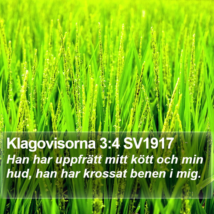 Klagovisorna 3:4 SV1917 Bible Study