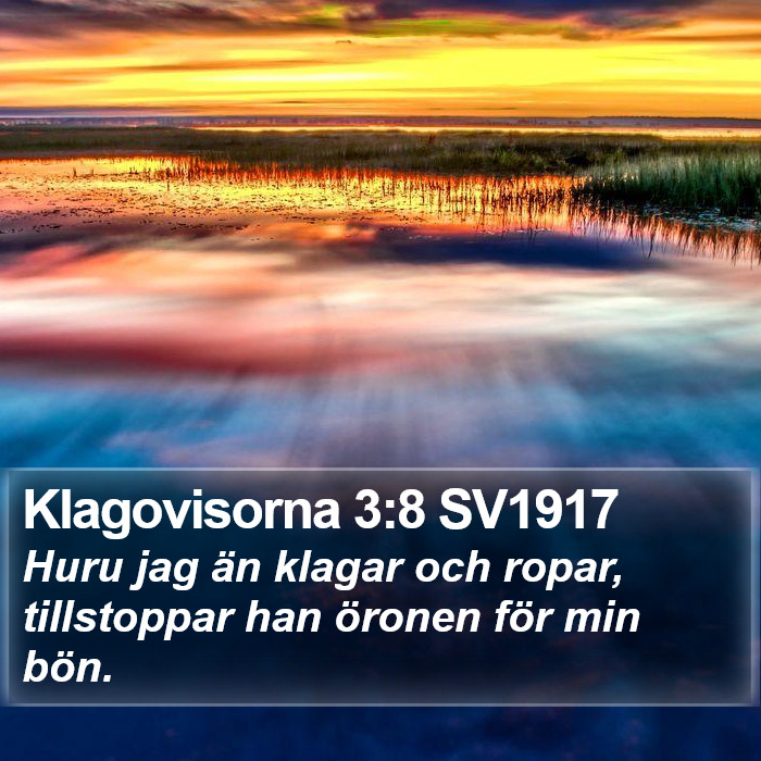 Klagovisorna 3:8 SV1917 Bible Study