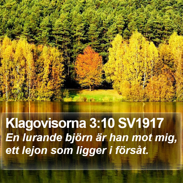 Klagovisorna 3:10 SV1917 Bible Study