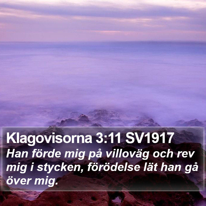 Klagovisorna 3:11 SV1917 Bible Study