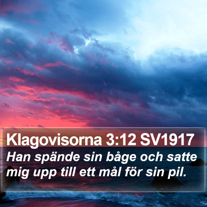 Klagovisorna 3:12 SV1917 Bible Study