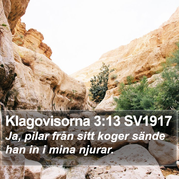 Klagovisorna 3:13 SV1917 Bible Study
