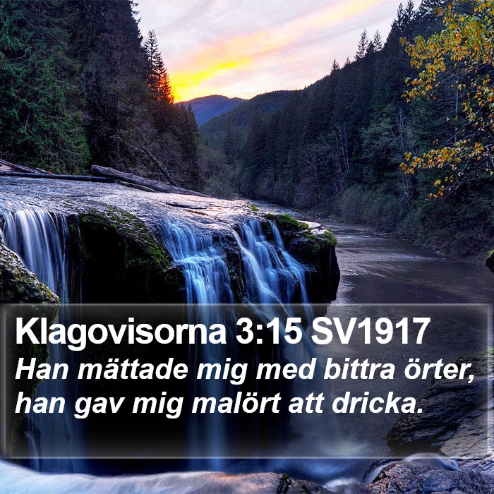 Klagovisorna 3:15 SV1917 Bible Study