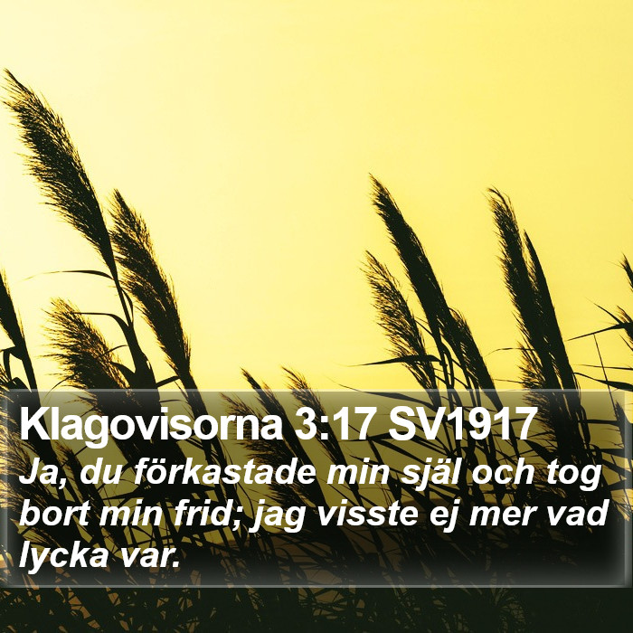 Klagovisorna 3:17 SV1917 Bible Study