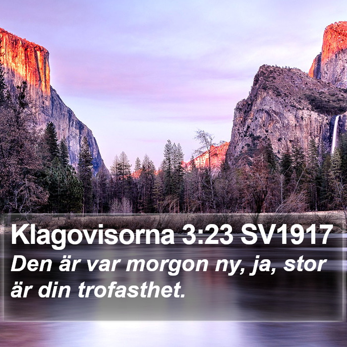 Klagovisorna 3:23 SV1917 Bible Study