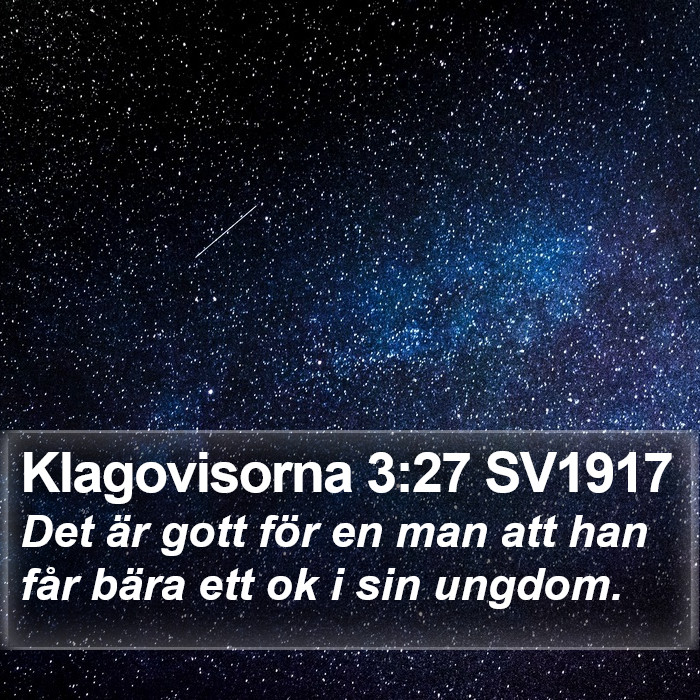 Klagovisorna 3:27 SV1917 Bible Study