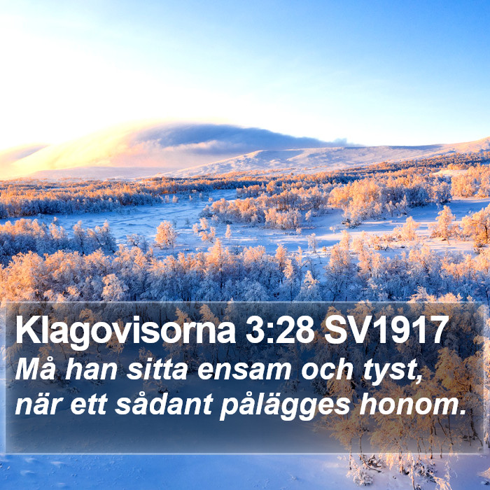 Klagovisorna 3:28 SV1917 Bible Study
