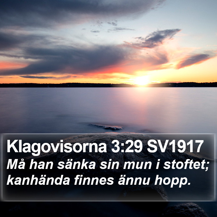 Klagovisorna 3:29 SV1917 Bible Study