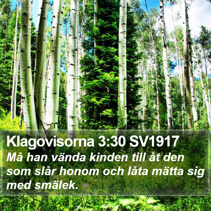 Klagovisorna 3:30 SV1917 Bible Study