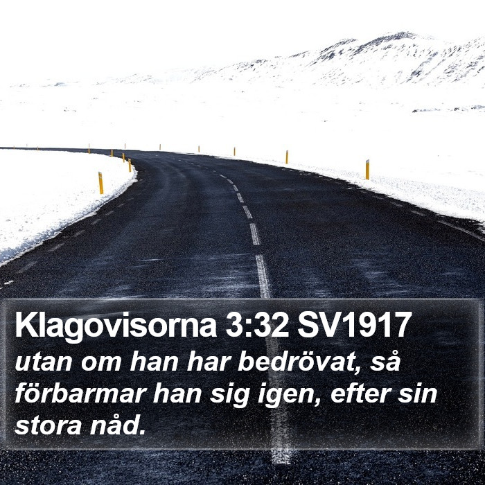 Klagovisorna 3:32 SV1917 Bible Study