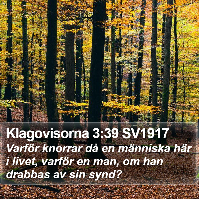 Klagovisorna 3:39 SV1917 Bible Study
